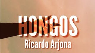 Ricardo Arjona  Hongos LetraLyrics [upl. by Deragon]