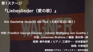 Am Gesteine rauscht die Flut（大波が岩辺に騒く） –『Liebeslieder（愛の歌）』（第114回定期演奏会） [upl. by Snave824]