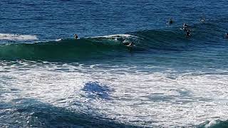 Wollongong Beach surf 7Feb2021 can you see the Shark [upl. by Yrreb]