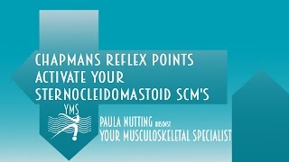 Chapmans Reflex Points  Activate your SternoCleidoMastoid SCMs  Your Musculoskeletal Specialist [upl. by Ayin783]