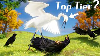 The Bird Tier List [upl. by Attenweiler]