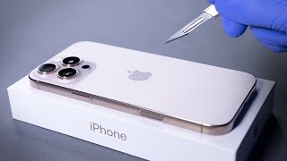 iPhone 16 Pro Max Unboxing and Camera Test  ASMR [upl. by Arremat737]