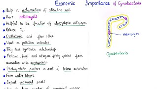 Economic importance of cyanobacteria  class 11 [upl. by Dory432]