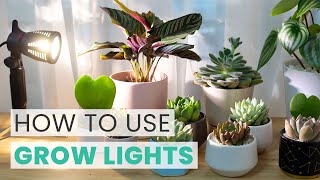 HOW TO USE GROW LIGHT FOR YOUR INDOOR SUCCULENTS  SUCCULENT CARE TIPS [upl. by Seth]