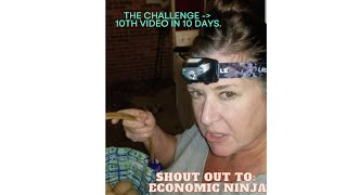 Challenged to do 10 videos in 10 days ECONOMIC NINJA [upl. by Claribel]