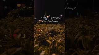 DilEDEWANA 🙂💕🥀 PERSIAN STATUS VIDEOS persian persianmusic farsi [upl. by Auqinom322]