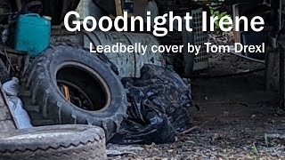 Goodnight Irene Leadbelly  Cover by Tom Drexl [upl. by Blackman659]