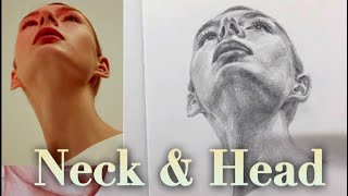 How to draw the Neck in relation to the Head a difficult position 목머리 연결부분 [upl. by Airotciv886]