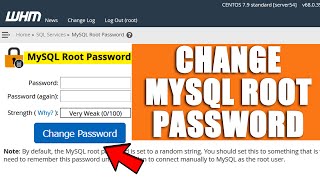 🔴LIVE How to change MySQL root password [upl. by Wiggins]