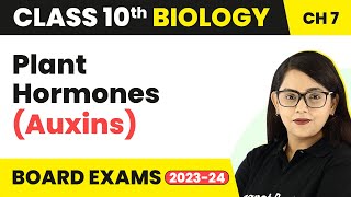 Plant Hormones Auxins  Control and Coordination  Class 10 Biology [upl. by Adnhoj]