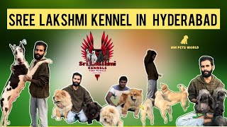 Part  1 top kennel in Hyderabad Telugu  Sree Lakshmi kennel visit hyderabad india telugu dog [upl. by Eohce]