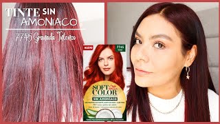 💥NOVEDAD💥 Tinte sin amoniaco MERCADONA 💇‍♀️¡A Prueba  que va a pasar con REGUEMBE Conlimonysal [upl. by Enelahs]