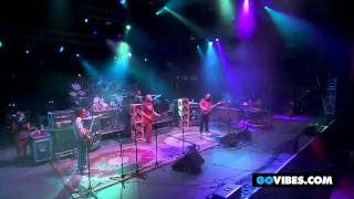 Dark Star Orchestra Scarlet Fire at Gathering of the Vibes 2011 [upl. by Sukhum962]