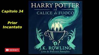 Harry Potter e il Calice di fuoco Audiolibro Italiano letto da Francesco Pannofino Capitolo 34 [upl. by Benetta86]