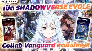 🔴AELA📦 เปิด SHADOWVERSE EVOLE Collab Vanguard สุดยิ่งใหญ่ และส่อง Supply แวนDไทย [upl. by Woodall]