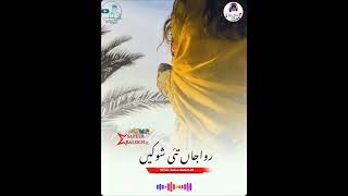 New balochi shadi song 2024 [upl. by Dnalloh]