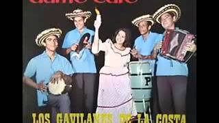 dame cafe  los gavilanes de la costa  cumbias porros y gaitas clasicas sonideras  YouTube [upl. by Essenaj]