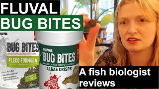 Fluval Bug Bites Plecoalgae A fish biologists reviews aquarium fish food Fluval [upl. by Rehpitsirhc]