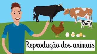 REPRODUÇÃO DOS ANIMAIS [upl. by Nicko]