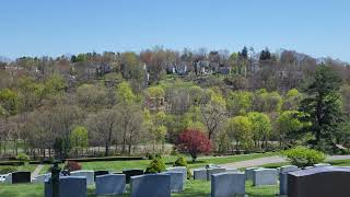 8K Kensico Cemetery Valhalla NY Chinatown afterlife April 30 2022 肯西科公墓 紐約 瓦爾哈拉 來世唐人街 [upl. by Kennan]