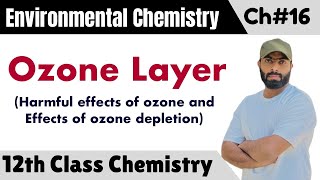 L8Ozone layer  harmful effects of ozone  effects of ozone depletion  chemistry class 12th ch16 [upl. by Lynnette]