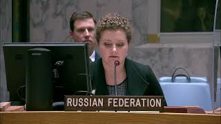 Statement by DPR Anna Evstigneeva at UNSC briefing on the situation in the DPRK [upl. by Kotta820]