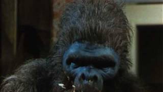 SCHLOCK DAS BANANENMONSTER 1973  Deutscher Trailer [upl. by Namwen]