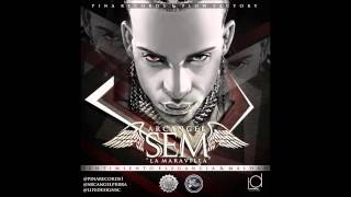 Arcangel  SEM full album 2013 [upl. by Chlores4]