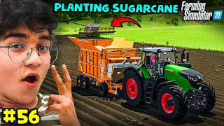 I Plant Sugarcane In Every Field  Farming Simulator 22 Gameplay Hindi 56 [upl. by Nnaaihtnyc395]