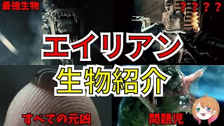 【映画紹介】全部知っている？エイリアンに出てきた生物一挙紹介！【ゆっくり解説】【ホラー映画】 [upl. by Norrehc]