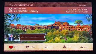 Animal Kingdom Lodge Resort Room TV LOOP [upl. by Nagah935]