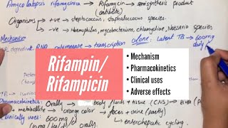 Rifampin  Rifampicin  Mechanism Pharmacokinetics Clinical Uses Adverse Effects UrduHindi [upl. by Allerim]