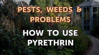 How to Use Pyrethrin [upl. by Leelahk]