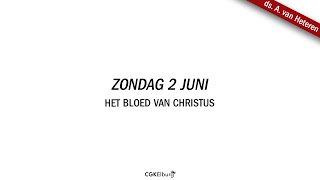 CGK Elburg  ds A van Heteren  Heilig Avondmaal  Het bloed van Christus [upl. by Marolda]