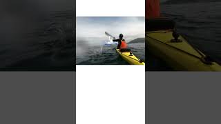 kayak camping 섬캠핑kayak [upl. by Paten]