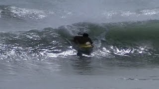 Shorebreak Amature Bodyboarding Fun Emerald Isle NC [upl. by Luelle]