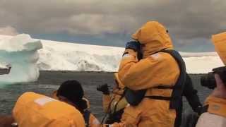 Day in the Life Falkland Islands and South Georgia Antarctica [upl. by Anahsek]