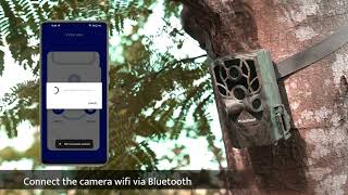 USOGOOD 4K 48MP WiFi TC80 Wildlife Camera Connection WiFi Video [upl. by Cyn]