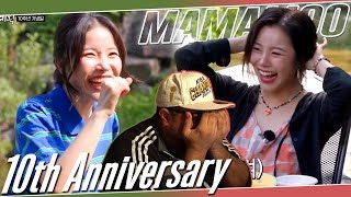 MAMAMOO 10th Anniversary Special REACTION  WHY ARE THEY LIKE THIS 😂 [upl. by Akinor]