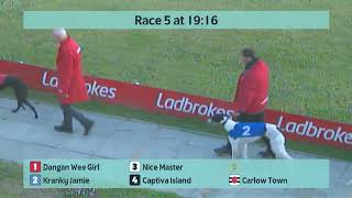 Crayford Greyhounds Races on 7th July 2024 [upl. by Akoek394]