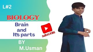 Biology Chapter number 3 Lecture number 2 Brain and its parts by MUsman in detail [upl. by Htabazile]