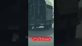 Así NEGOCEA MIGRACIÓN EN LA CALLE PARA SOLTAR LOS HAITIANOS [upl. by Salome]