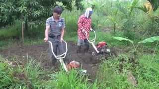 CY50 amp CY80 摺疊式中耕機 除草 amp 鬆土 Garden tiller tilling in veg field 농업 기계 中耕機 [upl. by Micheline299]