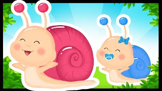 NEW 🐌💚The Titounis teach us the world of the small snail [upl. by Noirret]