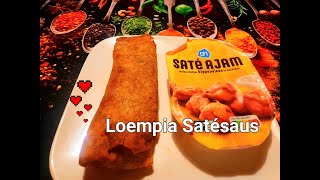 Loempia Satésaus Super Gezond Schijf van 5 [upl. by Aysahc]