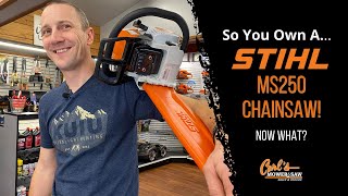 So You Own … the MS 250 Stihl Chainsaw [upl. by Aivlys]