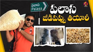 పలాస జీడిపప్పు తయారీ చూద్దాం రండి 😍  Preparation method of Palasa Cashew  Aadhan Food [upl. by Rehtnug]