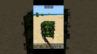 I found a Rabbit then this happened 😕  MINECRAFT [upl. by Alane]