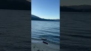 Whiskeytown lake Northern California Shasta county california ￼reservoir lake [upl. by Ahtoelc]