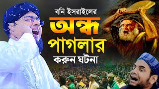 বনি ইসরাইলের অন্ধ পাগলার করুন ঘটনা  মুফতি জহিরুল ইসলাম ফরিদী [upl. by Spence]